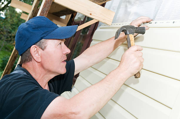 Best Custom Trim and Detailing for Siding  in Warsaw, KY